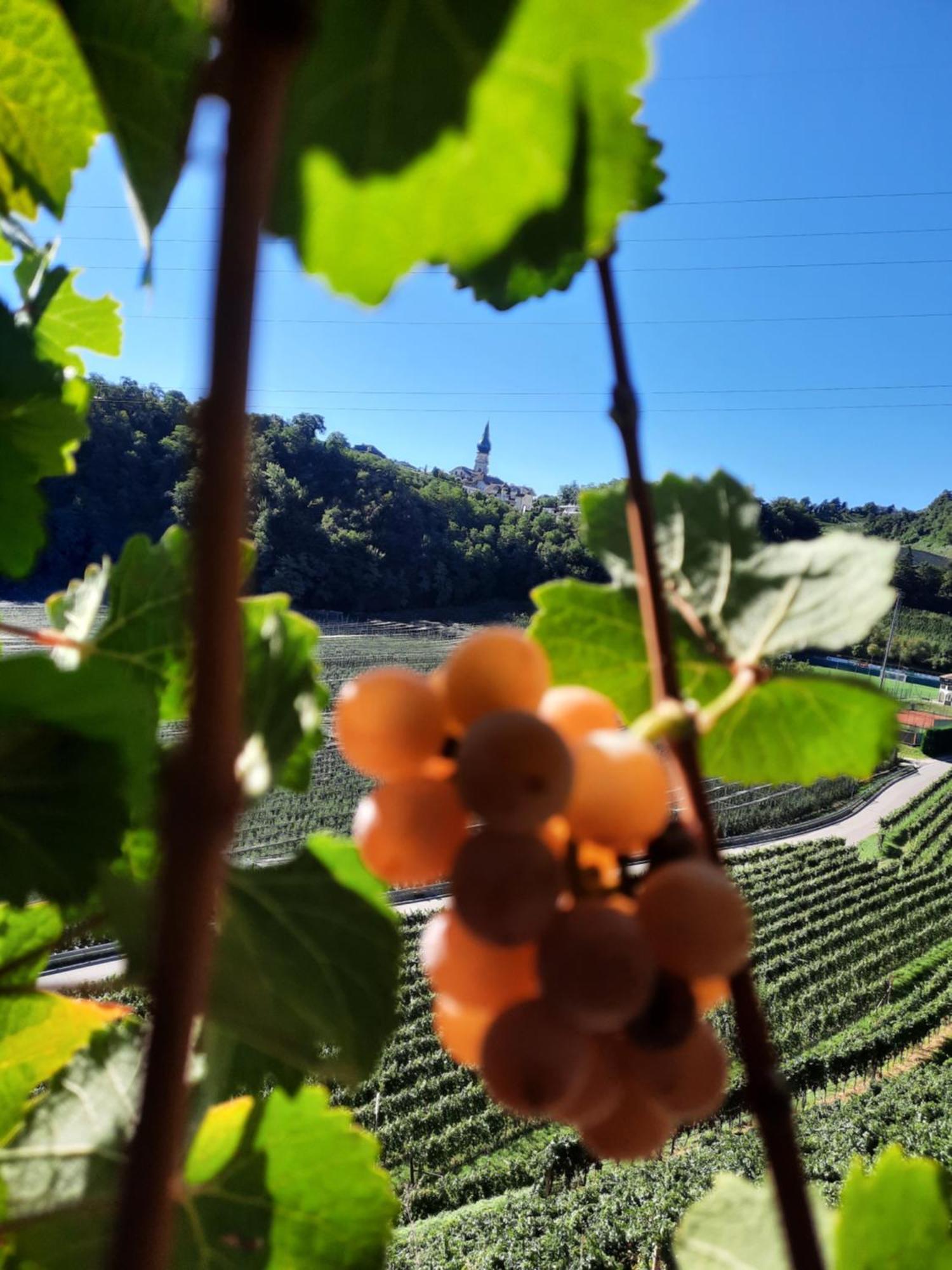 Weinhof Kager Leilighet Missiano Eksteriør bilde