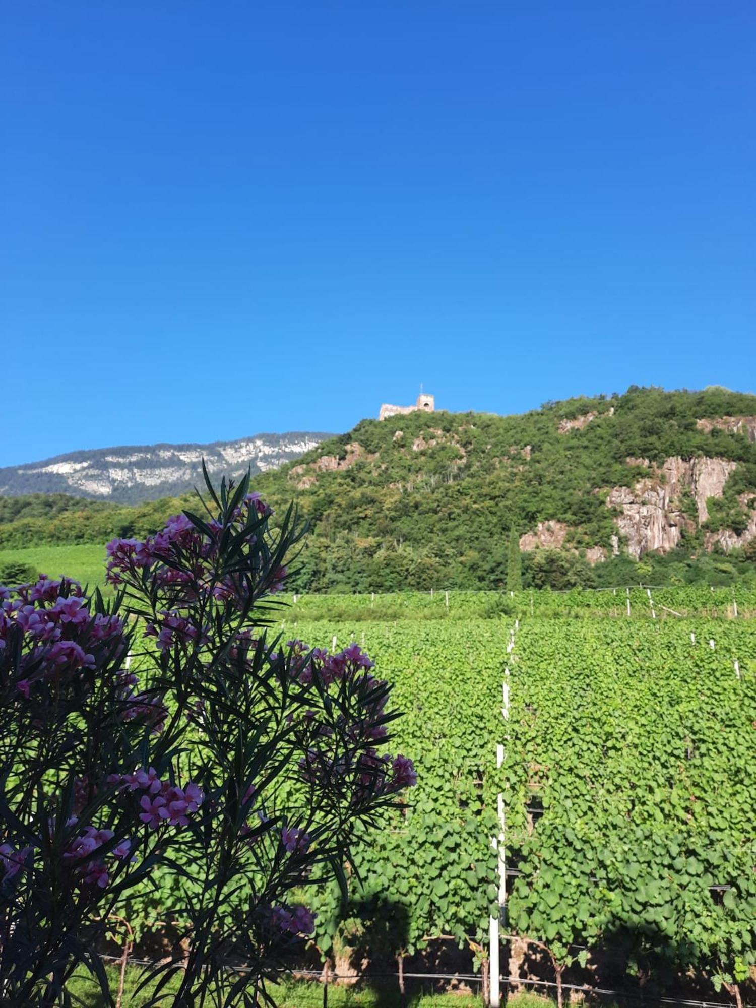 Weinhof Kager Leilighet Missiano Eksteriør bilde